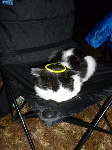 Hayride Oct 2013 071